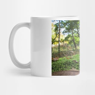 Fallen Tree Covered in Autumn Moss and Leaves Mug